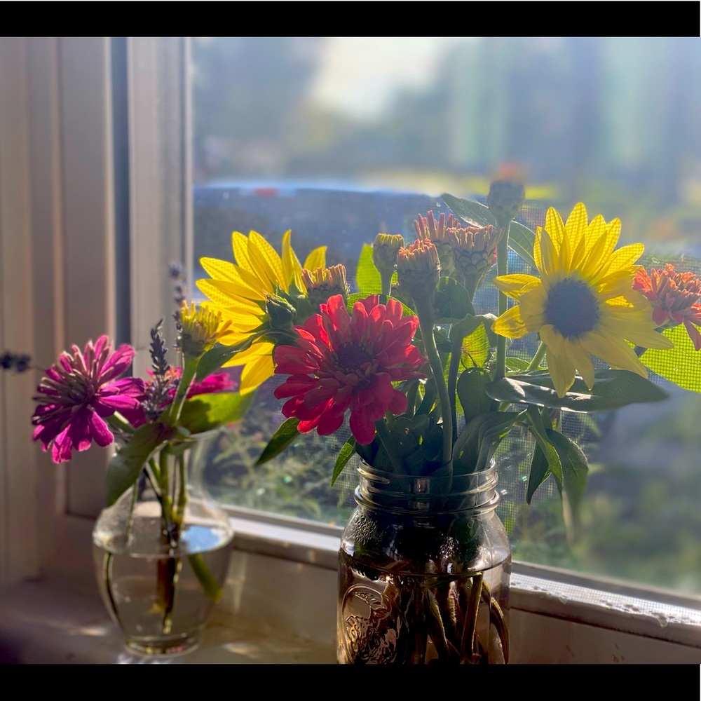 Meet your Posher, Erika